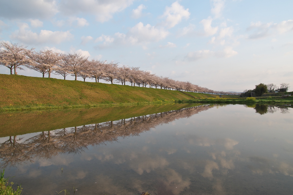 おの桜づつみ回廊にて１