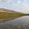 おの桜づつみ回廊にて１