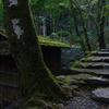 高山寺裏参道