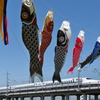 鯉のぼりと新幹線７００系