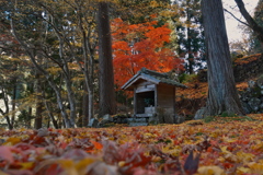 丹波は玉雲寺（ぎょくうんじ）にて２
