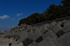 住吉神社沖の波消しブロック１