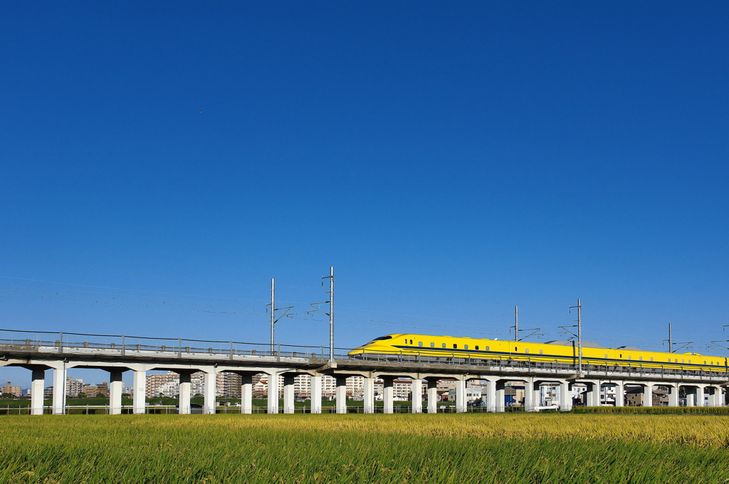 ドクターイエローとの遭遇５７（青空と稲穂）
