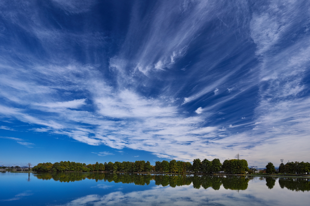 晩秋の天満大池１