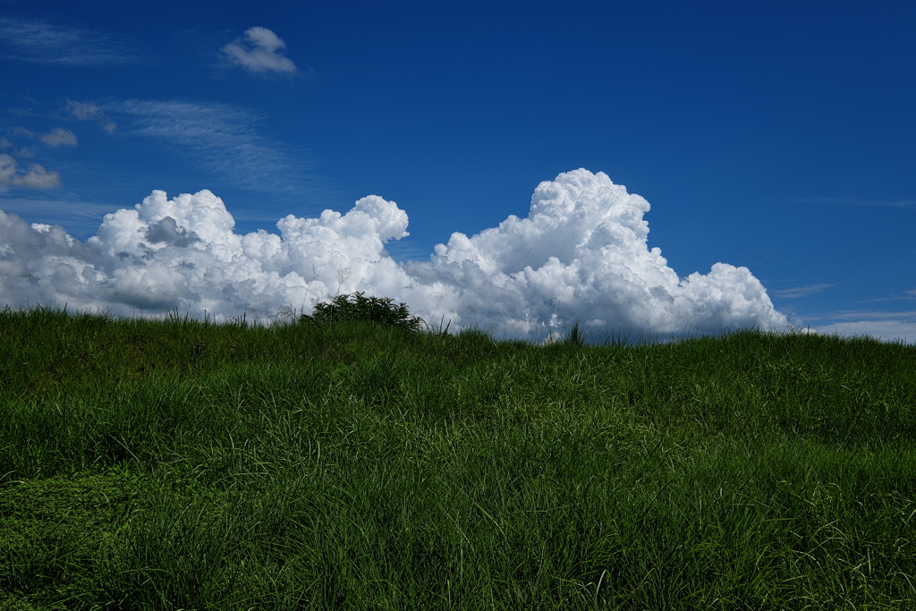 土手の上の夏雲２