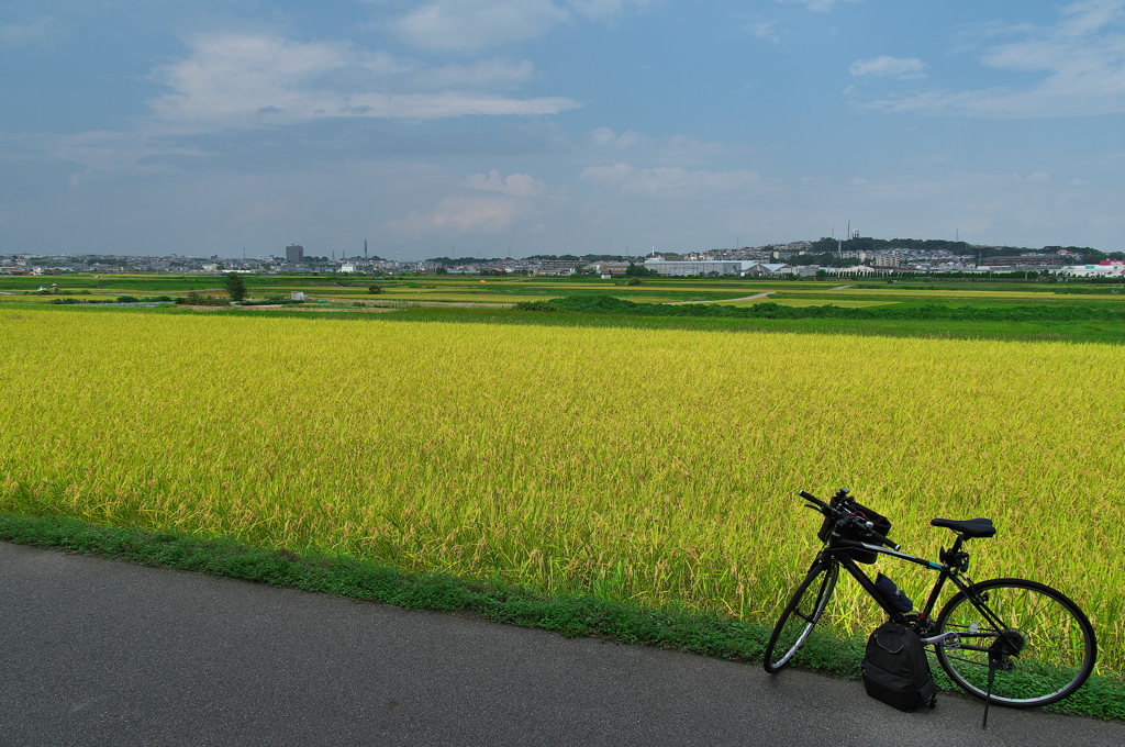 実りの秋来る