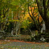 鶏足寺（けいそくじ）大門跡１