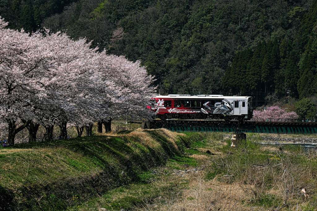 若桜（わかさ）鉄道第二八東川橋梁