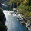 大歩危・小歩危峡の紅葉１