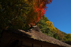 熊野古道とがの木茶屋