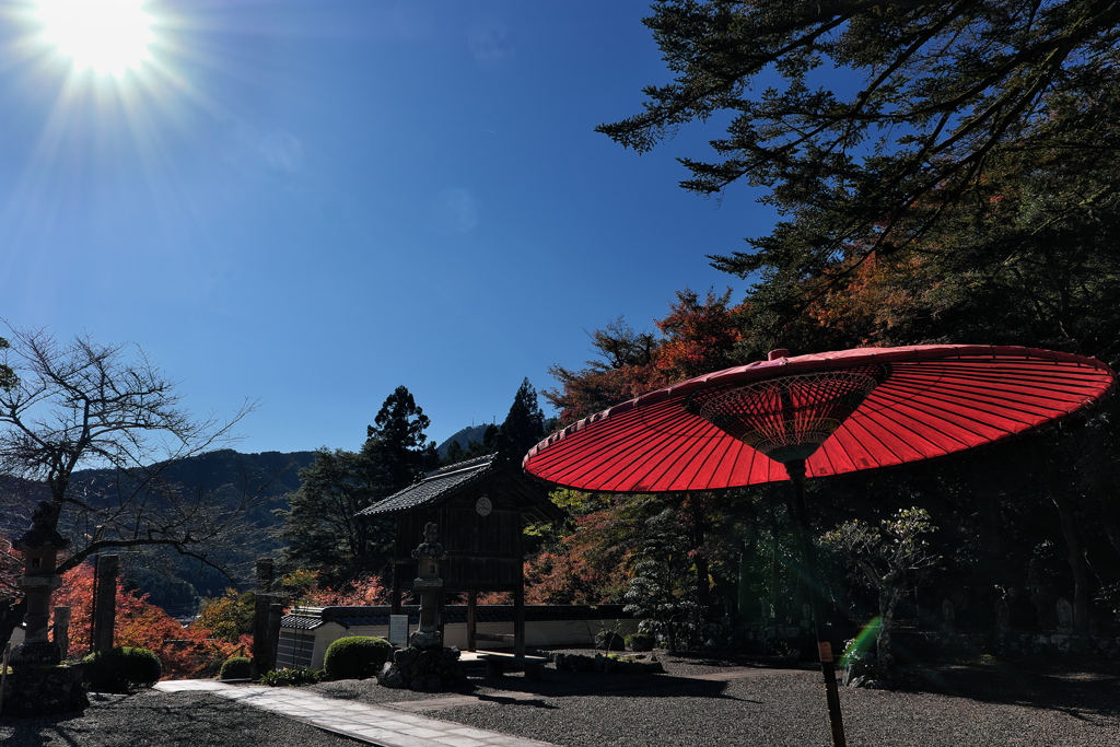 丹波古刹の紅葉３円通寺（えんつうじ）