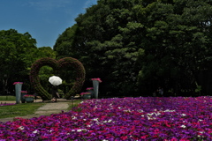 長居植物園にて７（ハートの花壇１）