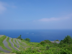 丹後半島の棚田１