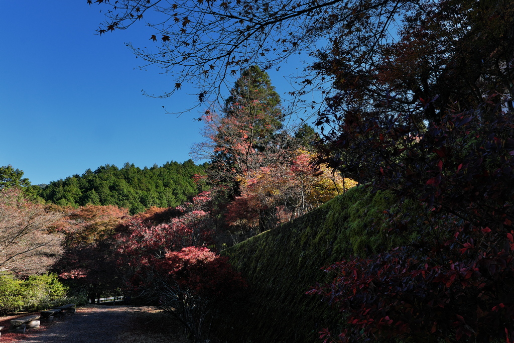 丹波古刹の紅葉２高源寺（こうげんじ）