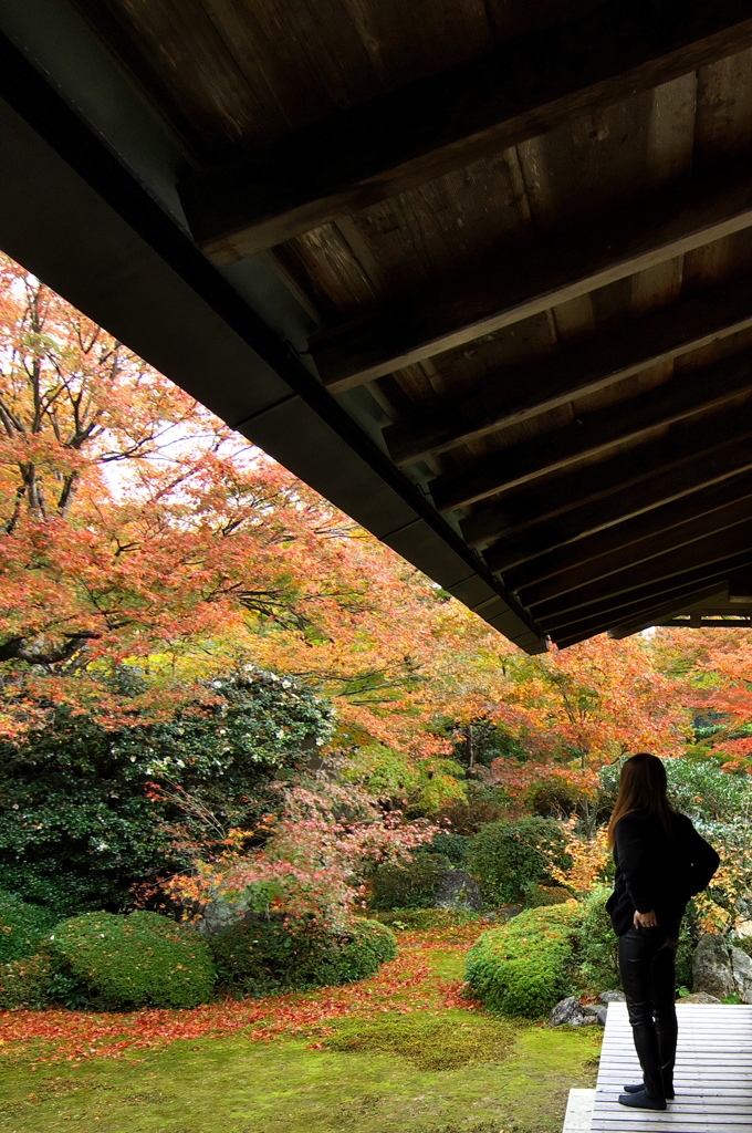 京都洛北紅葉巡り３（源光庵１）