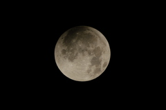 ２０２５皆既月食１