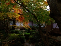 湖東三山と永源寺の紅葉４（百済寺）