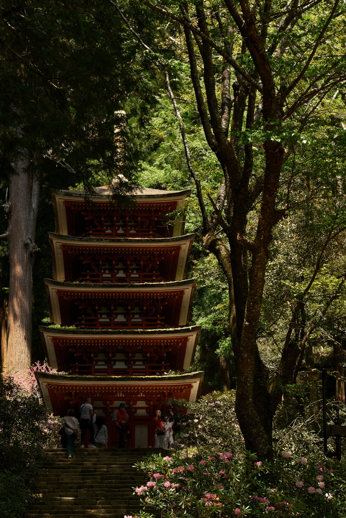 室生寺（むろうじ）五重塔