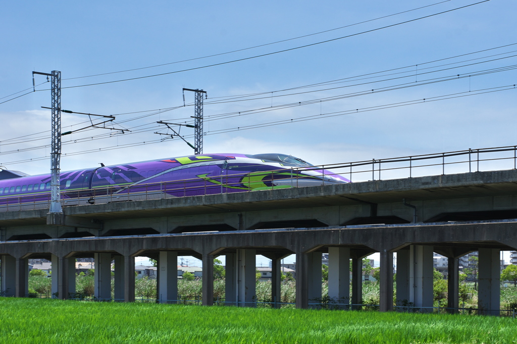夏の田圃を行くEVA５００系