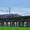 夏の田圃を行くEVA５００系