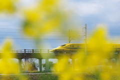 ドクターイエローとの遭遇６９