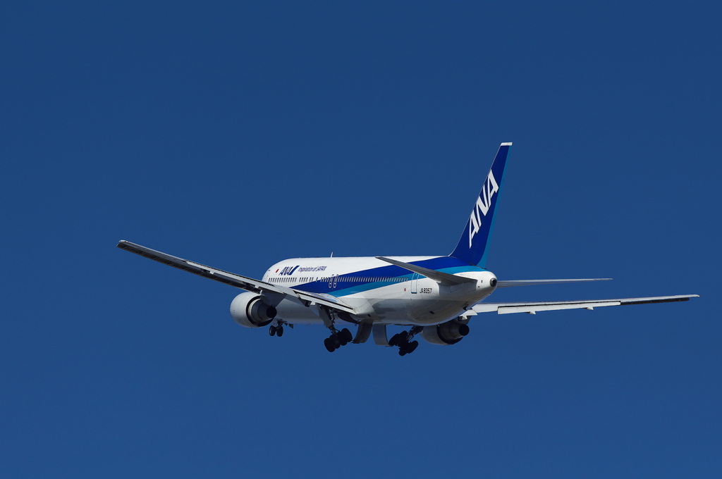 旅客機の離陸２