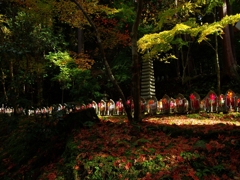 湖東三山と永源寺の紅葉２（金剛輪寺１）