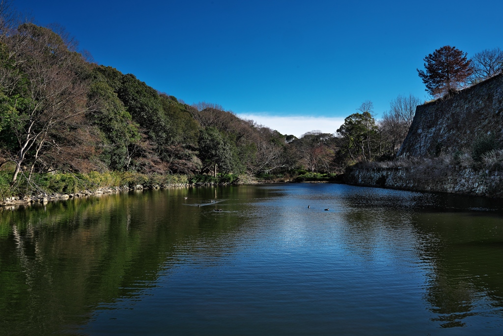 明石公園にて（桜堀）