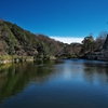 明石公園にて（桜堀）