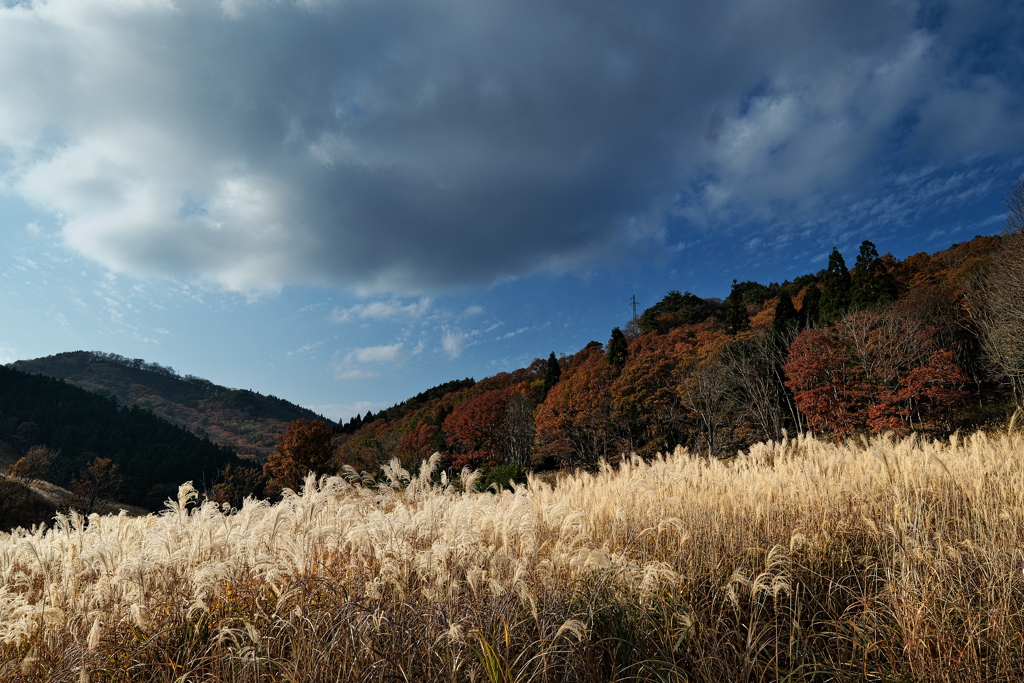 砥峰（とのみね）高源にて２