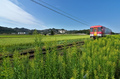 ローカル線の旅（北条鉄道）２