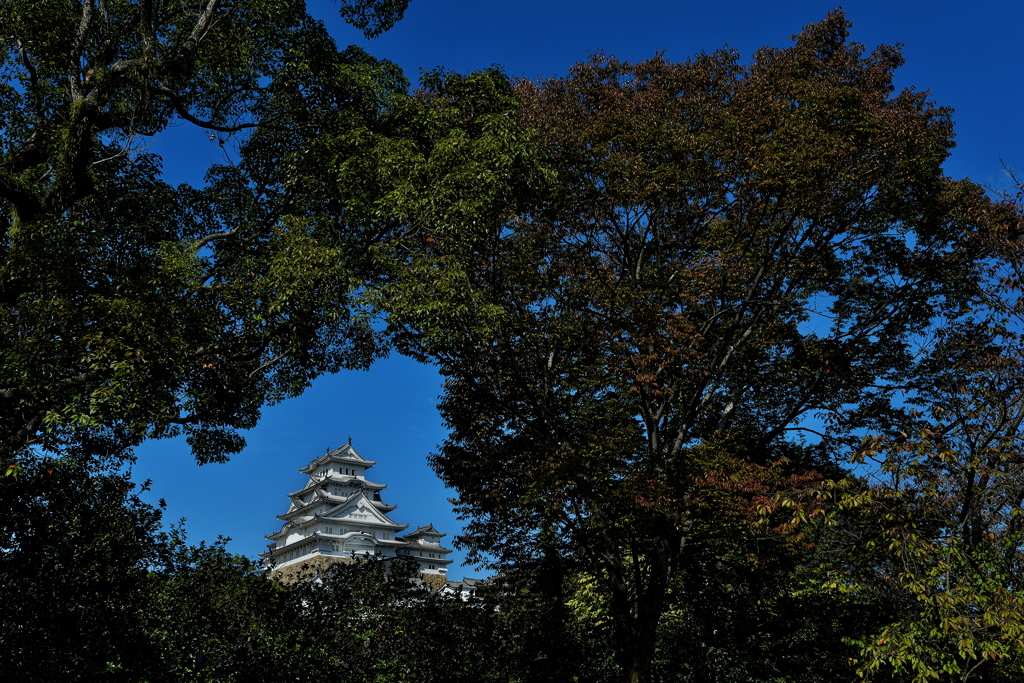 東御屋敷跡公園から望む姫路城