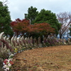 旅で出会ったお地蔵さんたち（開山公園）