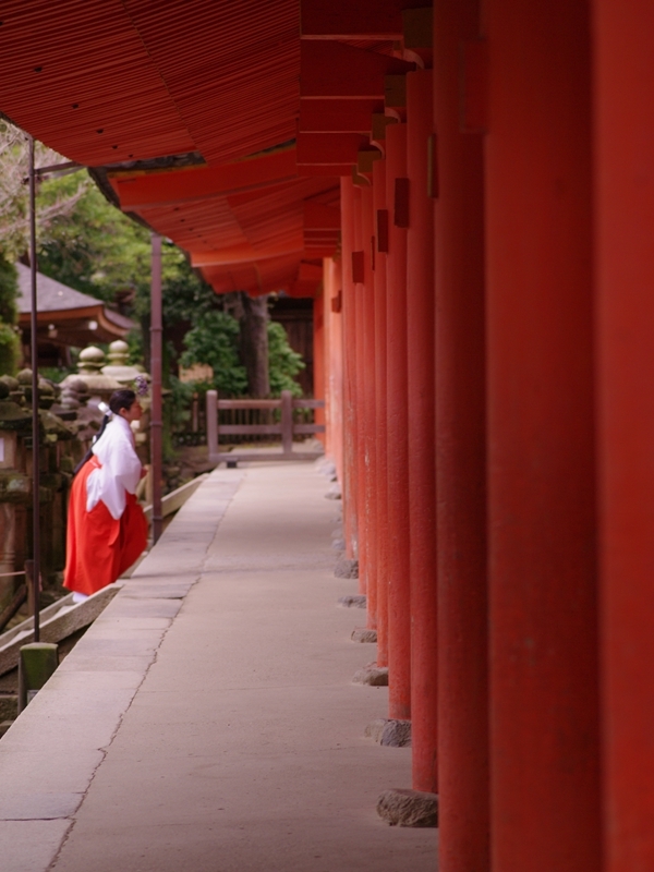 古都奈良の風景３