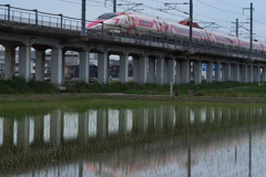 水田を行くハローキティ新幹線