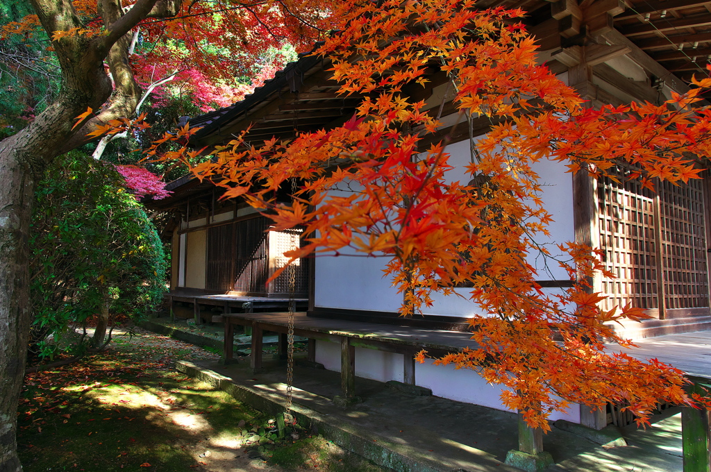 奈良は紅葉巡り３（長岳寺）