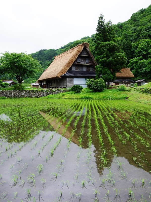 合掌造集落３（五箇山１）