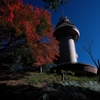 最上山（さいじょうさん）公園もみじ山にて７