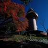 最上山（さいじょうさん）公園もみじ山にて７