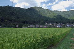 夏の美山かやぶきの里２