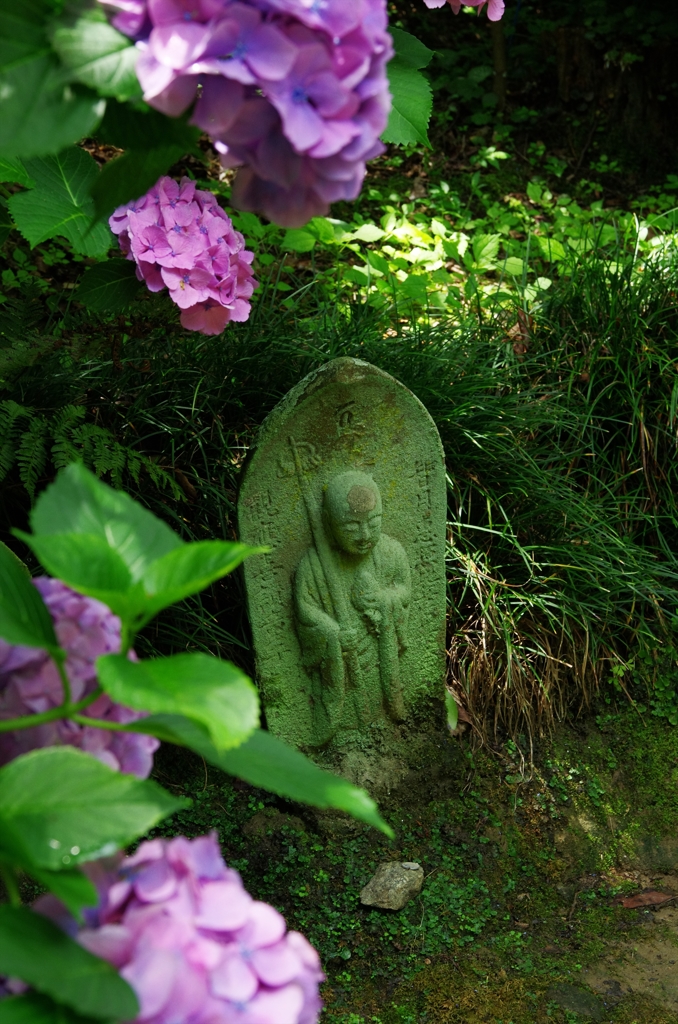 お地蔵さんと紫陽花（アジサイ）