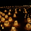 たかさご万灯祭１（高砂神社の和みの灯り）