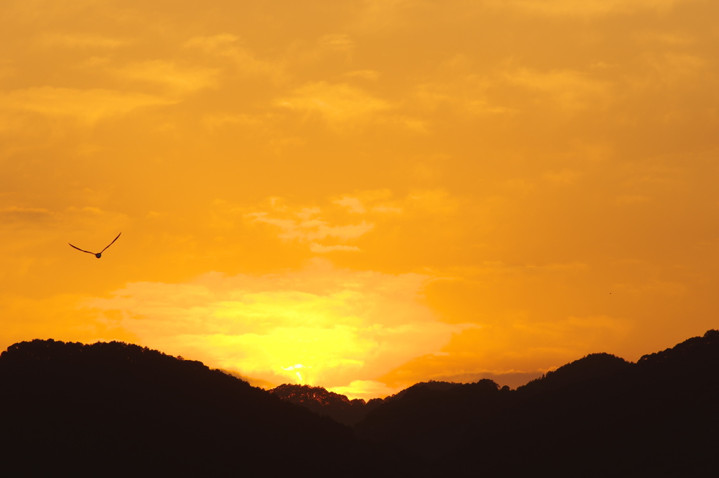 サンマの町、遊木（ゆき）２（夕日）