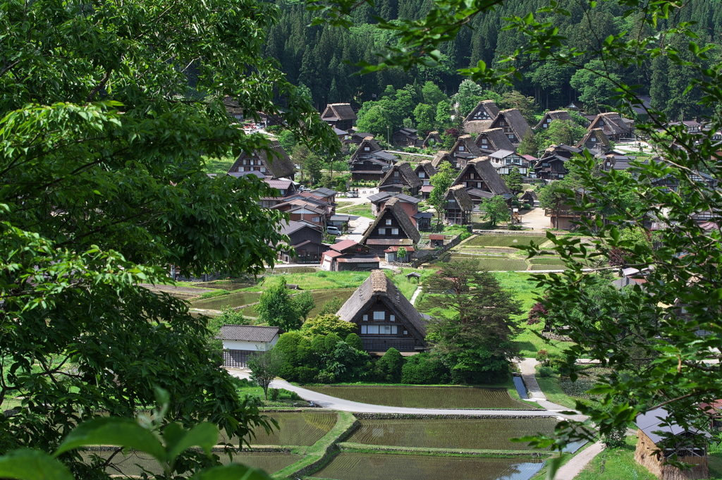 白川郷（しらかわごう）合掌造り集落４