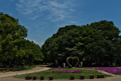 長居植物園にて８（ハートの花壇２）