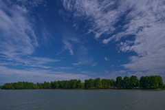 晩秋の天満大池公園２