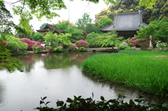 奈良の寺を巡りて３（長岳寺）