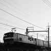 早朝をゆく貨物列車（ＥＦ２１０）