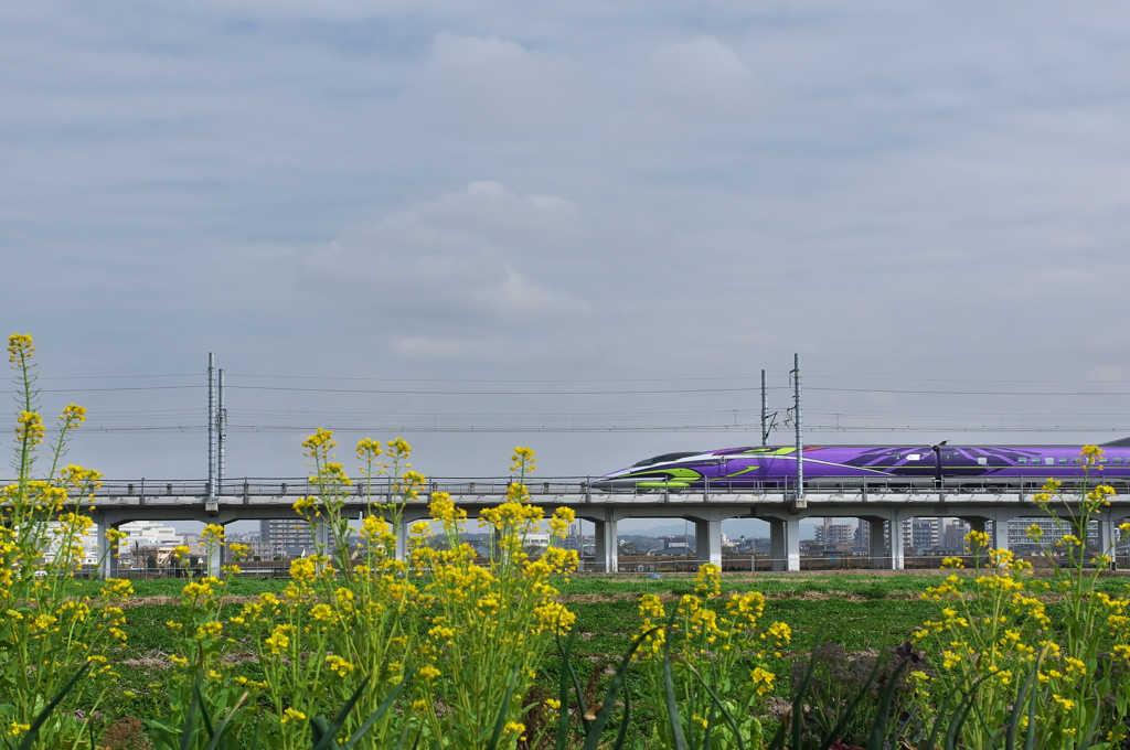 エヴァデザイン新幹線３３（２０１６）