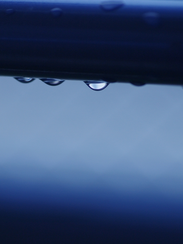 梅雨の物干し竿２
